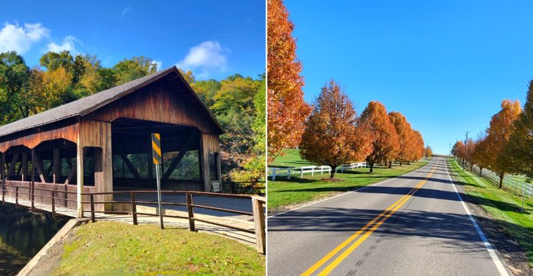 13 Small Ohio Towns With The Most Gorgeous Fall Foliage Drives This October