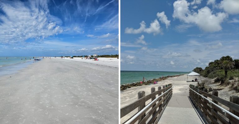 Florida’s 9 Top Places To Hunt For Fossils And Other Natural Treasures