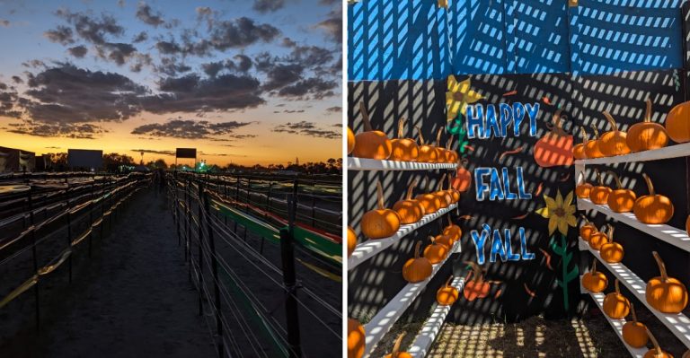 This Massive Southwest Florida Corn Maze Just Opened For The Season (And It’s Gorgeously Spooky)