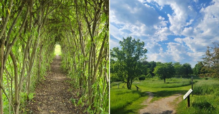 This Little-Known Augusta, Maine Arboretum Offers Beautiful Trails And Rare Trees For Free
