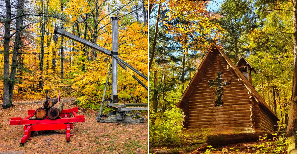 Hartwick Pines State Park
