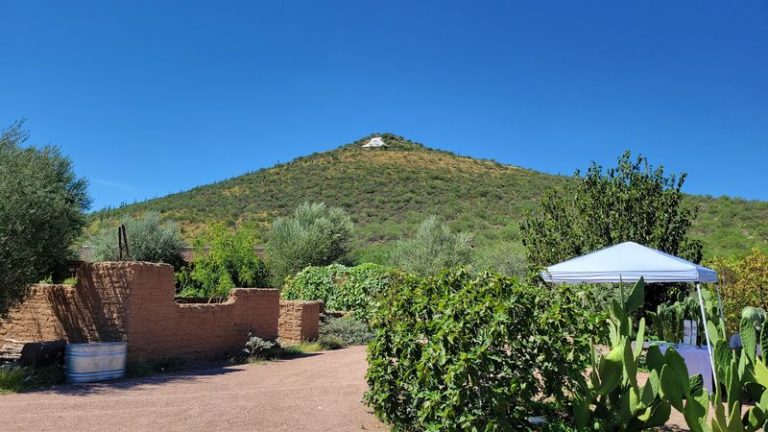 Arizona’s Mission Garden Grows The Same Heirloom Crops Tucson Farmers Planted 4,000 Years Ago