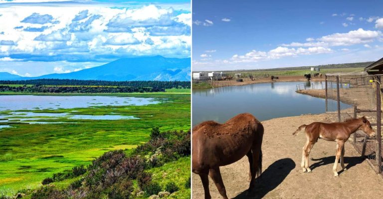 This Small Arizona Lake Town Is Becoming The State’s Next Big Thing In 2026