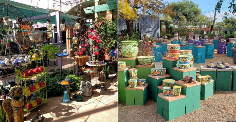This Arizona Garden Center Mixes Desert Plants, Pottery, And Easygoing Charm