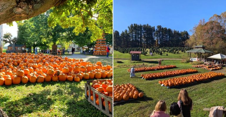 12 Ohio Farm Destinations Packed With Classic October Fun
