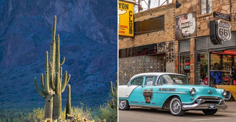 13 Unique Trivia Facts About Arizona Even Locals Might Not Know