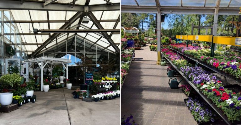 This Flagstaff, Arizona Garden Market Comes With Mountain Plants, Gifts, And Seasonal Magic