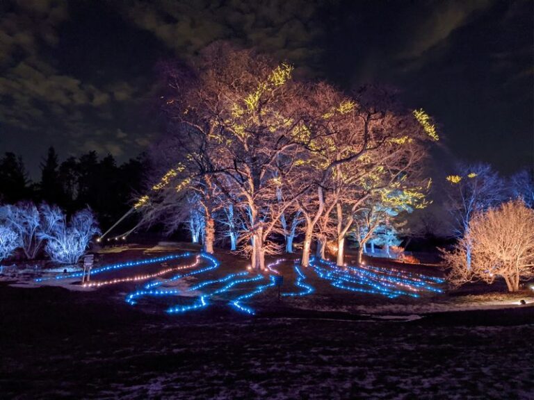 Over Three Million Holiday Lights Turn This Illinois Botanic Garden Into A Winter Walk You’ll Remember