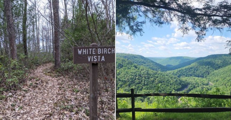 10 Pennsylvania Hiking Trails Locals Skip In September Because The Rattlesnakes Are Too Active