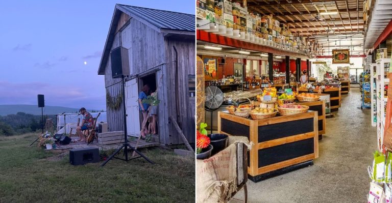 These Country Farm Spots In Washington Are Worth The Drive For Fresh Bread, Furniture, And Simpler Living