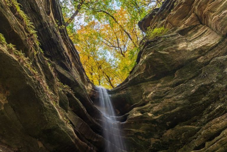 This Illinois State Park Hides A Fern-Draped Canyon Where Waterfalls Freeze Into Ice Columns