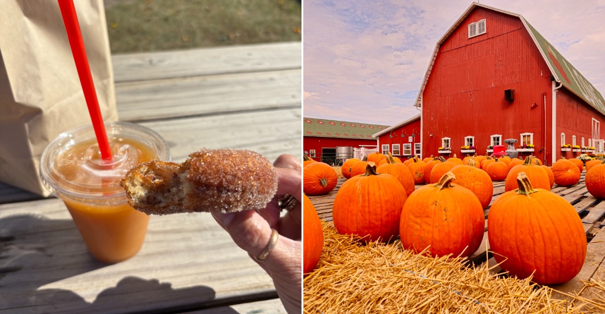 Long Family Orchard & Farm