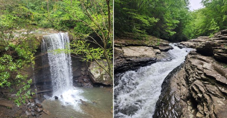 This Massive Pennsylvania State Park Has A Native Copperhead Population So Locals Know To Watch Their Step
