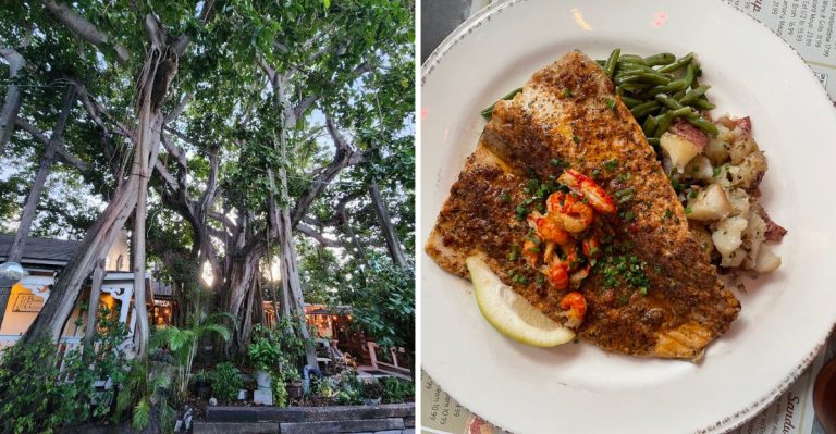 The Red Snapper At This Florida Restaurant Is So Good It’s Worth The Drive