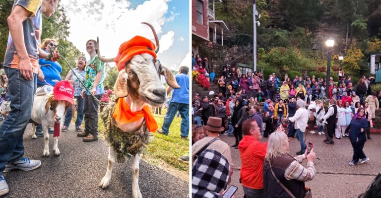 8 Arkansas Festival Traditions That Sound Made Up But Are Happening In October 2026