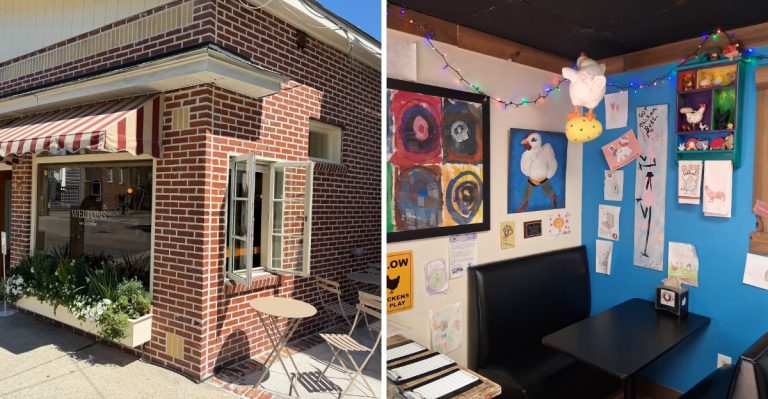We Ranked 9 South Carolina Apple Cider Donut Spots From Okay To Absolutely Worth The Drive