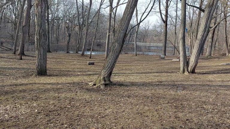 This Illinois Cemetery Trail Feels Creepy in the Best Possible Way
