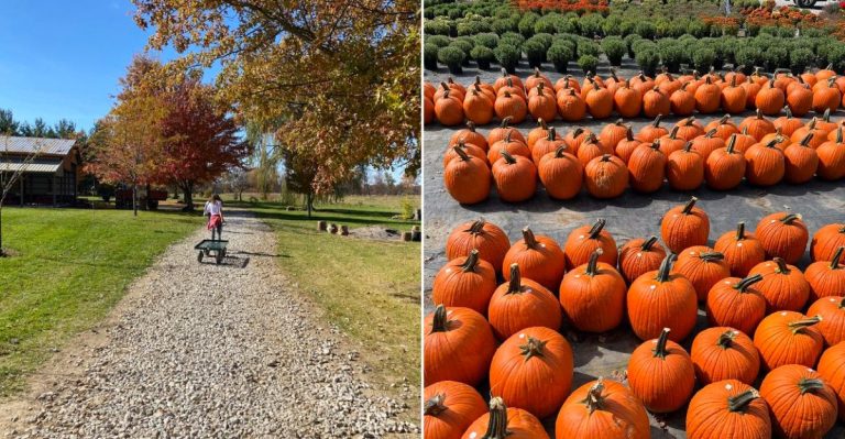 This Historic Ohio Town Has The Best Pumpkin Patch Locals Swear By