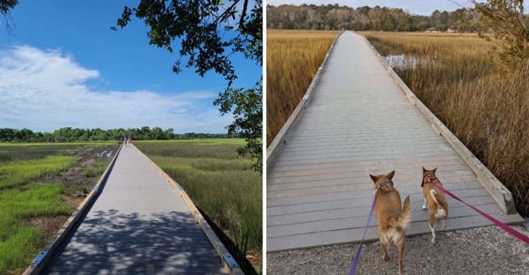 This South Carolina County Park Lets You Walk To An Island Without Ever Getting Your Feet Wet