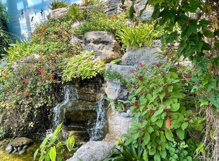 This Illinois Butterfly House Lets You Walk Through A Tropical Room Full Of Free-Flying Butterflies