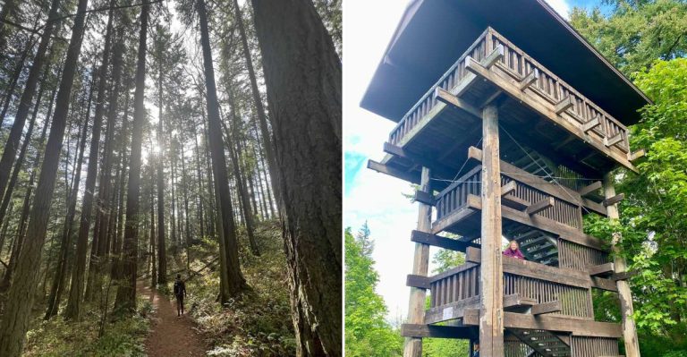 This Washington Arboretum Has A Tower With Seriously Amazing Views