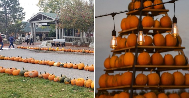This Free Maine Pumpkin Festival Will Glow With Hundreds Of Jack-O’-Lanterns For Three Nights