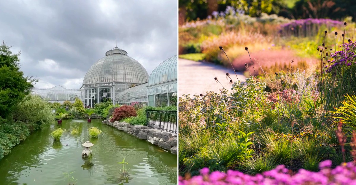 Belle Isle Park