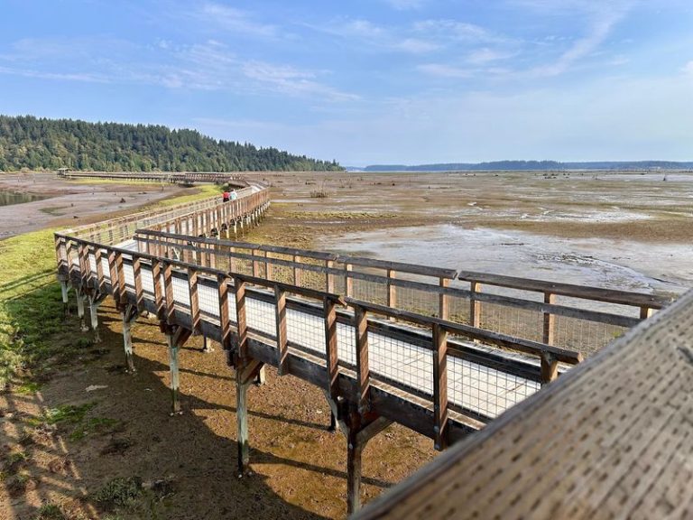 This Quiet Riverside Refuge In Washington Is Where Herons, Eagles, And Songbirds Gather Along The Water