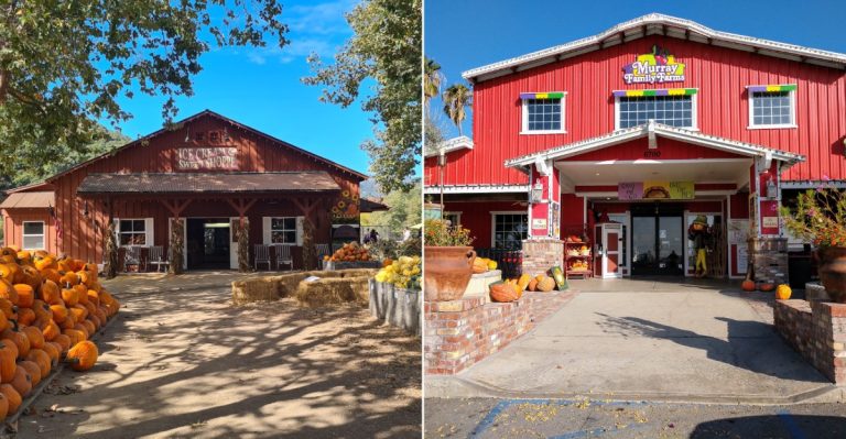 We Found 10 Of California’s Best Family-Owned Farmers Markets, And These Are Our Favorites