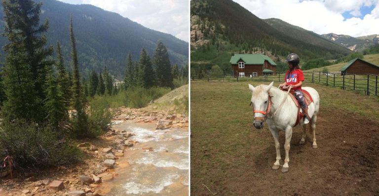 Hike The Colorado Backcountry With A Llama Carrying The Gear