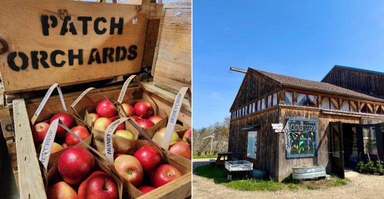 10 Cider Stops In New Hampshire That Are Perfect For An October Road Trip