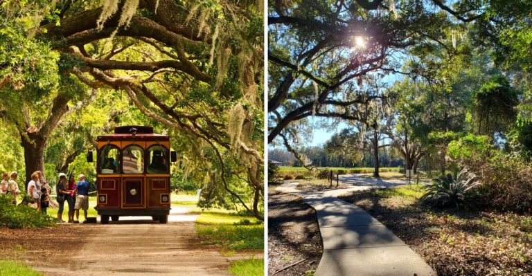 The Massive South Carolina Factory Tour Where You Can Eat, Shop, And Wander For Hours In 2026