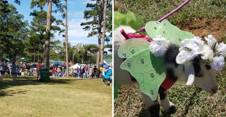 This Arkansas Small Town Has One Of Autumn’s Most Unexpected Festivals