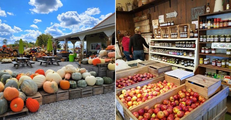 13 Ohio Orchard Markets Where The Fall Treats Are Half The Reason To Visit