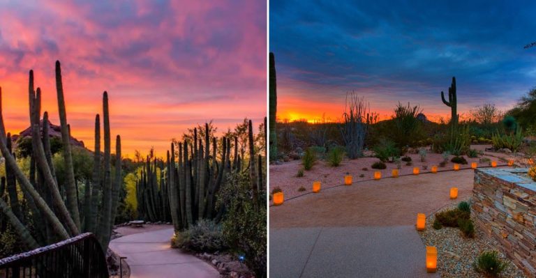 Did You Know Arizona Has A Desert Garden Where Thousands Of Luminarias Glow Each December?