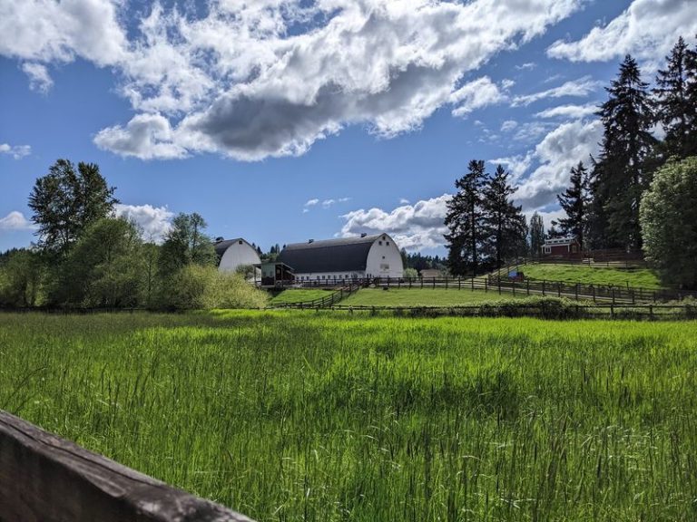 Draft Horses Pull Wagons Through The Fields At This Working Washington Heritage Farm