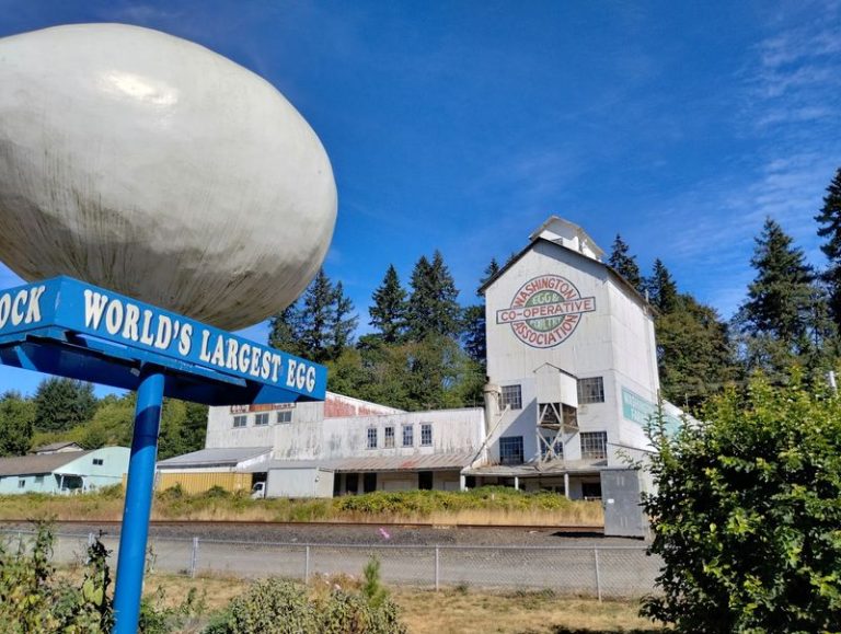 Take A Road Trip To These 9 Wonderfully Weird Washington Attractions You Have To See To Believe