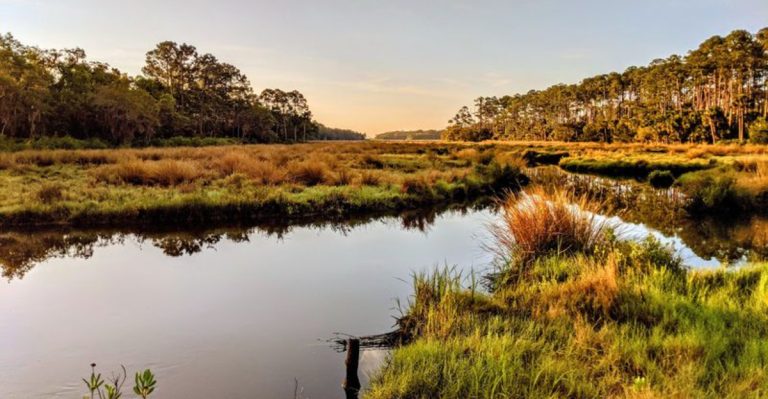 This Florida State Park Has A Mystical Trail Leading To The Eerie Bulow Plantation Sugar Mill Ruins