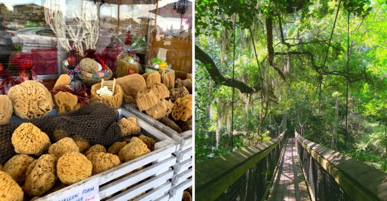 12 Florida Fall Day Trips That Are Big On Fun And Easy On The Wallet