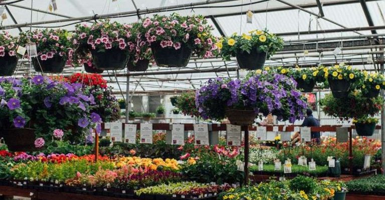 Step Into A Village Of Year-Round Greenhouses At This Colorado Garden Landmark In Arvada