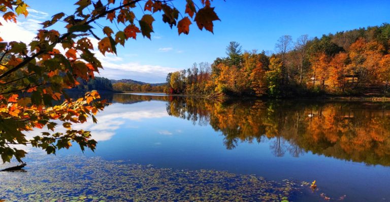 8 Ohio Forest Roads That Turn Into Leaf-Peeping Routes Every Fall