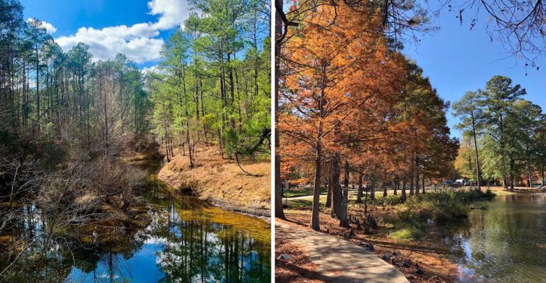This Arkansas State Park Gets No Crowds And All The Scenery