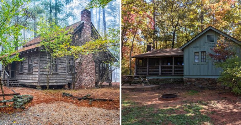 10 South Carolina Tucked-Away Cabins With Forest Views Worth The Drive