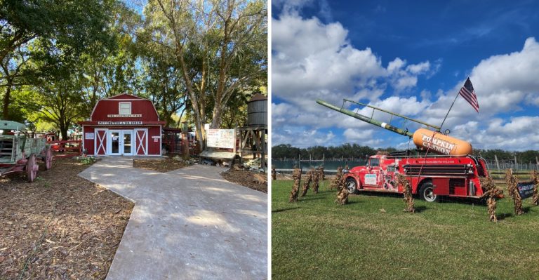 This Florida Pumpkin Festival Has Country Music And Stunt Shows Just 75 Minutes From Tampa