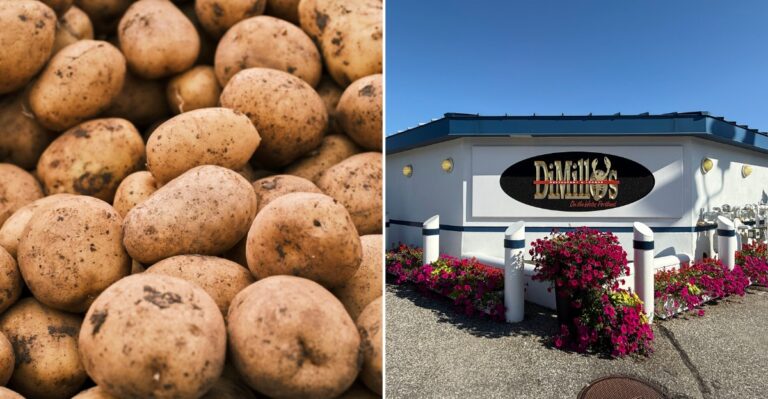 This Unusual Maine Food Festival Celebrates Potatoes In Almost Every Way Imaginable
