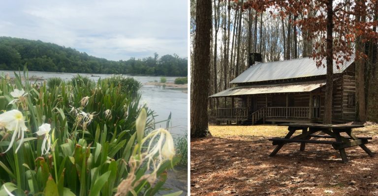 This Enormous South Carolina State Park Has A Native Copperhead Population So Locals Know To Watch Their Step