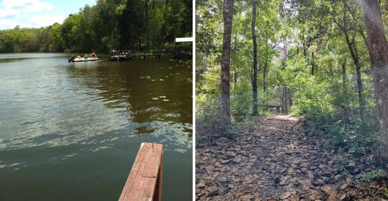 This Florida State Park Has One Of The Most Stunning Lakes You’ve Probably Never Visited