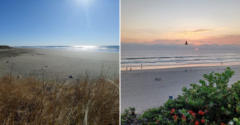 11 Washington Coast Rockhounding Spots Where Agates And Secret Gems Wait