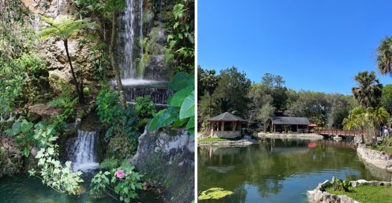 Most Floridians Have No Idea This Breathtaking Botanical Garden Is Hiding Right Here