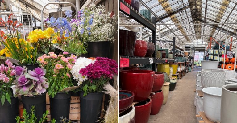 This Century-Old Colorado Garden Center Has Kept Denver Blooming Since 1911